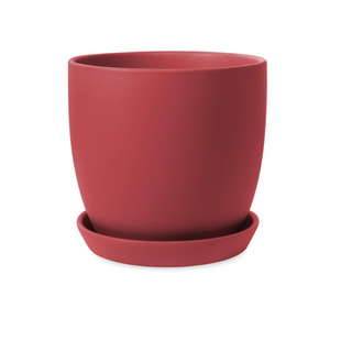 Tulip Pots