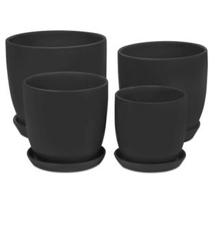 Tulip Pots