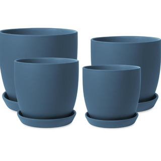 Tulip Pots