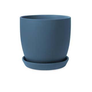Tulip Pots