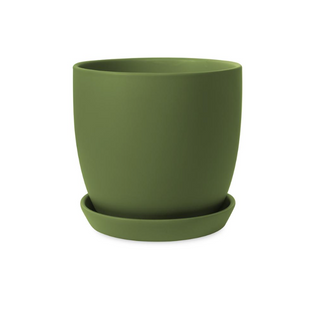 Tulip Pots
