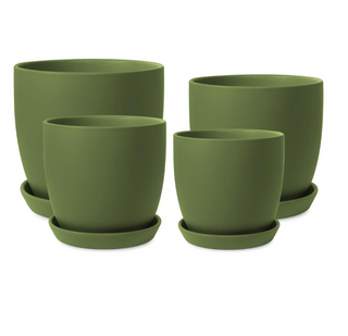 Tulip Pots