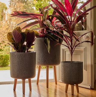 Plant Stand Slate