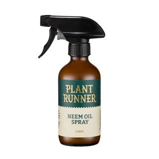 Plant Runner Gift Pack