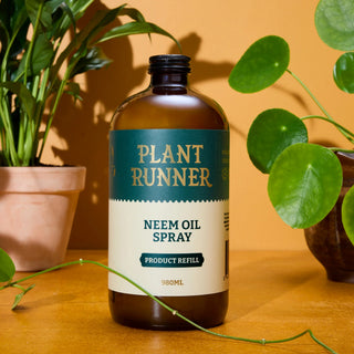 Plant Runner Gift Pack
