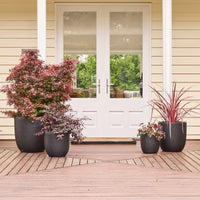 Planter Asher Egg Pot