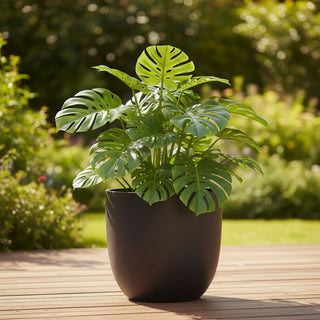 Planter Asher Egg Pot