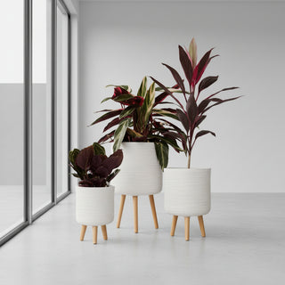 Plant Stand Slate