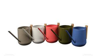 Indoor Watering Cans