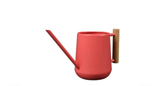 Indoor Watering Cans