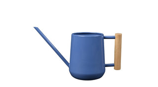Indoor Watering Cans