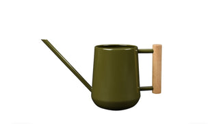 Indoor Watering Cans