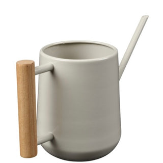 Indoor Watering Cans