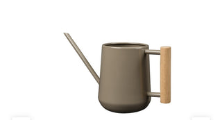 Indoor Watering Cans