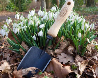 Gardening trowel in front of snowdrops with 'The Forged Devil' branding.