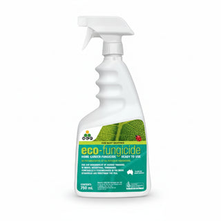 Eco - Fungicide Spray