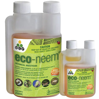 Eco -  Neem Oil