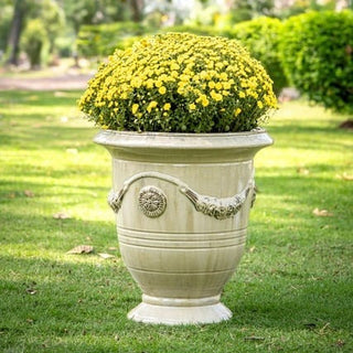 Annandale Garden Centre