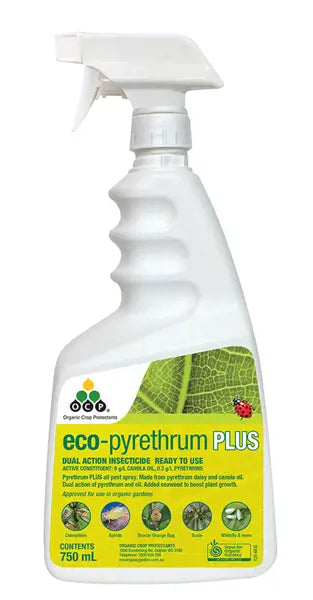 Eco - Pyrethrum Plus Spray
