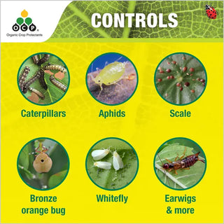 Eco - Pyrethrum Plus Spray